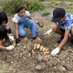 いわき市子ども支援NPO　RIN・RINみらい主催の農業体験教室の様子